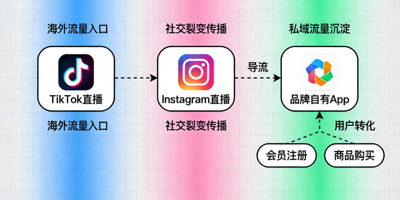多平台直播矩阵示意图，展示从TikTok、Instagram到品牌自有App的直播导流与转化路径