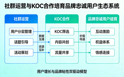 社群运营与KOC合作培育品牌忠诚用户的生态系统图